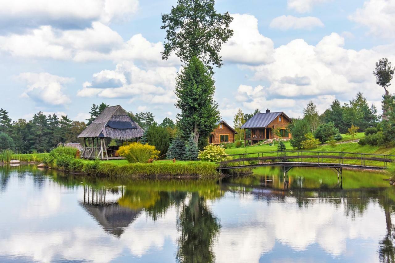 Vip Forest Dreams Villa Anyksciai Ngoại thất bức ảnh